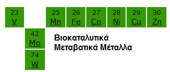 Καταλυτικές ιδιότητες των ΜΜ Δράση: ως ωσμωτικοί ρυθμιστές και ως καταλυτικά κέντρα για εκατοντάδες κυτταρικές αντιδράσεις.