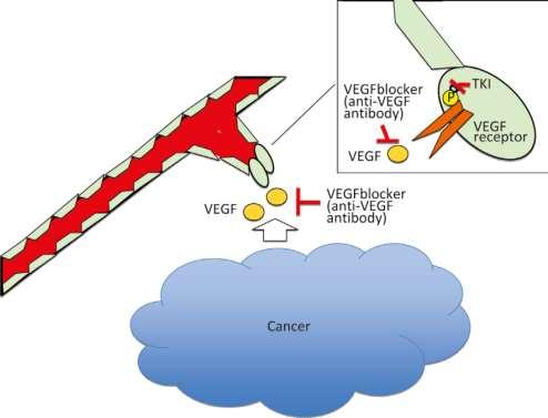 (VASCULAR ENDOTHELIAL GROWTH FACTOR) Αναστέλλει
