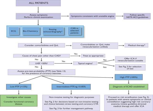 Initial diagnostic management of patients with suspected SCAD.