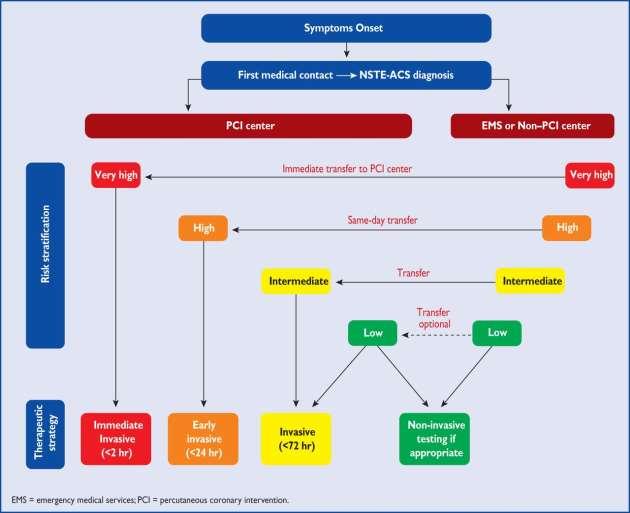 Selection of non-st-elevation acute coronary syndrome (NSTE-ACS) treatment strategy and timing