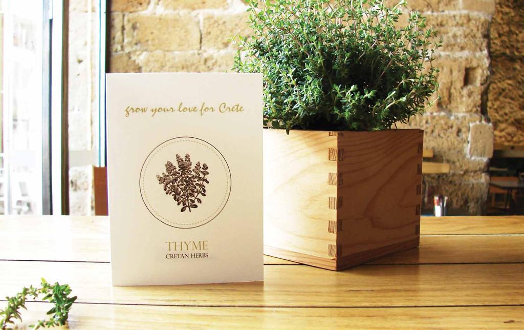 Card with thyme seeds Κάρτα με σπόρους θυμαριού / PCT-01 Σπόροι φύτευσης θυμαριού που συνοδεύονται από κάρτα