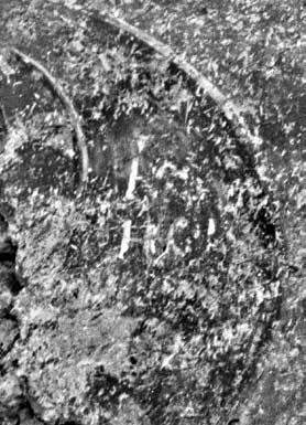 340 Драган Војводић Сл. 7. Остатак медаљона с попрсјем пророка Јелисеја (?) Fig. 7. Traces of the medalion with a bust of the Prophet Elisha (?