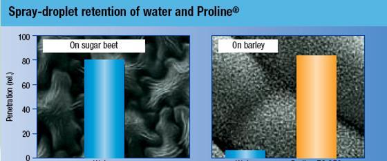 Συγκράτηση σταγόνας νερού και σκευάσματος prothioconazole σε επιφάνεια φύλλου Nερό Nερό Proline EC 250 Συγκράτηση σταγόνας νερού σε φύλλο τεύτλων (φυτό με εύκολη κάλυψη) και σταγόνας