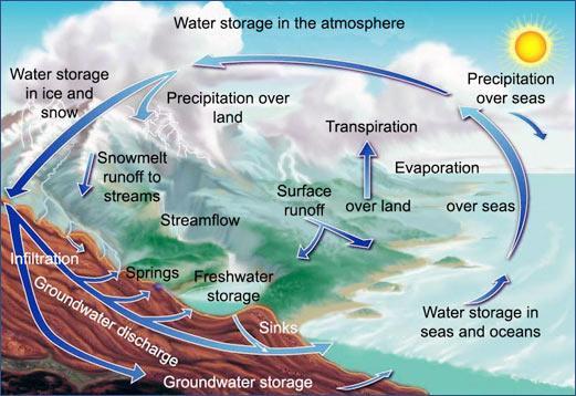 Επιδράσεις της βόσκησης στην υδρολογία των λιβαδιών Βόσκηση και υδρολογικός κύκλος Η κίνηση του νερού μέσα στο λιβαδικό οικοσύστημα ακολουθεί ένα κύκλο που είναι γνωστός ως υδρολογικός κύκλος.