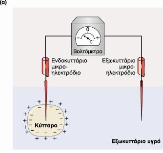 Ενδοκςηηαπική καηαγπαθή Εξυκςηηαπική καηαγπαθή Εξυκςηηαπική και Ενδοκςηηαπική Καηαγπαθή Δμσθπηηαξηθή