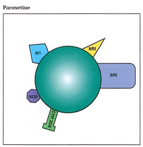 Paroxetin se koristi se kod depresivnih bolesnika sa anksioznošću. To se dešava i kroz paroksetinski antiholinergični efekat / muskarinski antagonizam/.