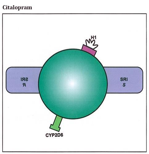 Citaopram ima 2 enanciomera R i S. Obadva zajedno su racemski citaopram koji ima srednji antihistaminski i 2D6 inhibitorni učinak. Dobar je u tretmanu starijih pacijenata.