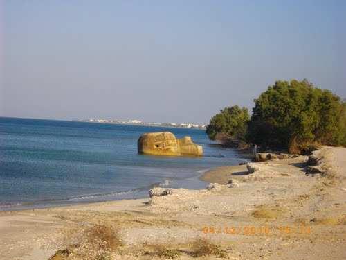 των χαρακτηριστικών για την οποία δεν έχουν ληφθεί µέχρι σήµερα εξειδικευµένα