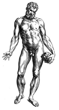 Αρχές Έμπνευση από τους αρχαίους Ο Πιλάτες βάσισε μεγάλο μέρος των ιδεών του στις αντιλήψεις των αρχαίων για το τέλειο σώμα.