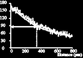 Light Intensity