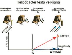 INFORMĀCIJA, KAS JĀNORĀDA UZ ĀRĒJĀ IEPAKOJUMA VAI, JA ĀRĒJĀ IEPAKOJUMA NAV, UZ TIEŠĀ IEPAKOJUMA OUTER CARTON 1.