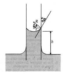 Izračunat ćemo visinu tekućine u kailari u slučaju kailarne elevacije. Slično razmatranje za kailarnu deresiju bi dovelo do istog rezultata. SLIKA: VISINA STUPCA TEKUĆINE U KAPILARI Kulišić slika 0.