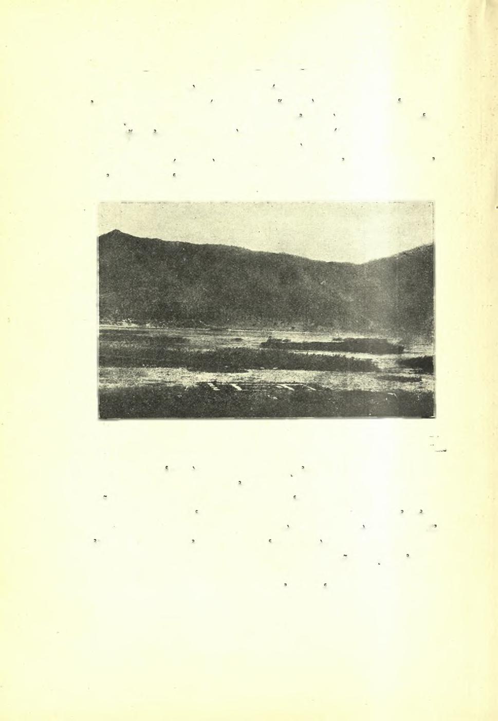 120 Πρακτικά, τής Αρχαιολογικής 'Εταιρείας 1924 Έπ περαιτέρω προς δυσμάς άπεκαλυφθησαν τά θεμέλια κτηρίου, έχοντος εν κατόψει τό σχήμα προπνλον.