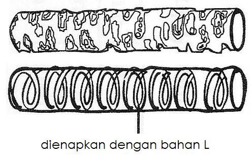 34. Rajah 21 menunjukkan empat organisma yang berlainan saiz. Rajah 21 ntara organisma,, dan, yang manakah mempunyai nisbah jumlah luas permukaan per isipadu yang paling besar?