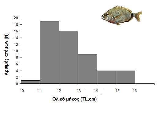 Για το είδος Diplodus annularis (Ν=53) το µικρότερο άτοµο που αλιεύτηκε ήταν 10,7cm ενώ το µεγαλύτερο 15,6 cm (Πίνακας 4.2). Η κλάση µήκους στην οποία ανήκαν τα περισσότερα άτοµα ήταν µεταξύ 11-12 cm.