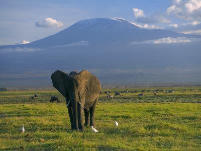 Το Εθνικό Πάρκο Μασάι Μάρα Το Εθνικό Πάρκο Μασάι Μάρα βρίσκεται στη Νοτιοδυτική Κένυα και αποτελεί την εντός της Κένυας βόρεια προέκταση του ΠάρκουΣερεγκέτι της Τανζανίας.