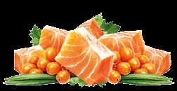 7KG 2KG HIGH SALMON 400G BALANCED MINERALS SEA BUCKTHORN SUPER PREMIUM ΥΠΟΑΛΛΕΡΓΙΚΗ ΤΡΟΦΗ ΜΕ ΣΟΛΟΜΟ ΚΑΙ ΡΥΖΙ ΓΙΑ ΕΝΗΛΙΚΕΣ ΓΑΤΕΣ ΠΟΥ ΕΧΟΥΝ ΤΡΙΧΩΜΑ ΜΕ ΙΔΙΑΙΤΕΡΕΣ ΑΠΑΙΤΗΣΕΙΣ Σύνθεση: κρέας σολομού