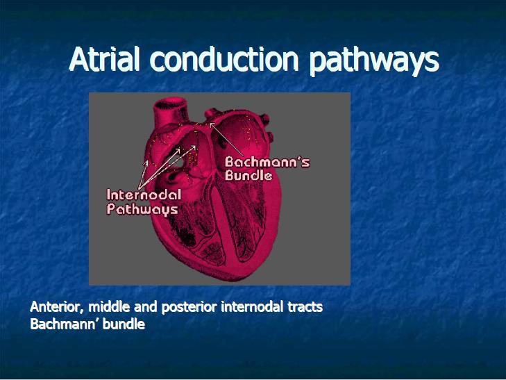 avf and duration 120 ms)