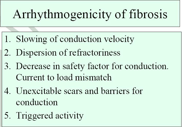 Clinical mapping studies have observed areas of electrical silence, low voltage, fractionated electrograms, and altered and circuitous conduction associated with a