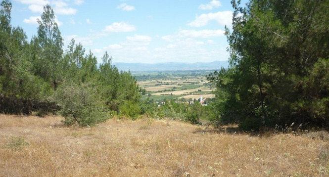 χρησιμοποιούνται ως λιβάδια και χορτονομές (περιοχή Volyn) και των εγκαταλελειμμένων εκτάσεων που χρησιμοποιούνταν ως αγροτικές γαίες (περιοχή Lviv).