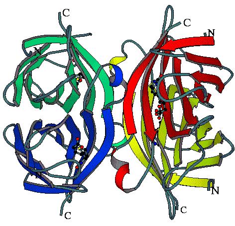 Χαρακτηριστικά παραδείγµατα αποτελούν το σύστηµα αντιγόνου-αντισώµατος και το σύστηµα βιοτίνης-στρεπταβιδίνης (Diamandis 1999).