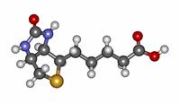 Η βιοτίνη (βιταµίνη H) (σχήµα 4.8), είναι ένα µικρό µόριο µοριακής µάζας 244.31 Da, µε χηµικό τύπο C 10 H 16 N 2 O 3 S.