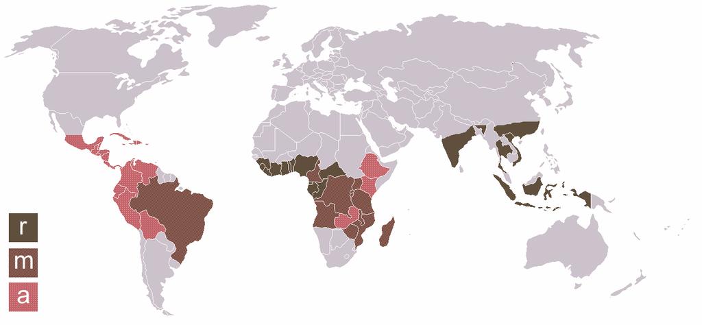Με ροζ χρώµα φαίνονται οι χώρες που παράγουν την ποικιλία Arabica, µε σκούρο καφέ φαίνονται οι χώρες που παράγουν την ποικιλία Robusta ενώ µε καφέ χρώµα φαίνονται οι χώρες που