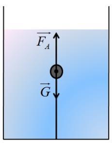 Ce valoare trebuie să aibă acceleraţia ascensorului şi în ce sens trebuie să fie orientată(sus/jos) pentru ca perioada să scadă de două ori? (g=1 /s²). 41.