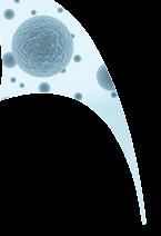 5 ο Πανελλήνιο Συνέδριο Χειρουργικών Λοιμώξεων Επιστημονικό Πρόγραμμα Αίθουσα Α Παρασκευή 0 Νοεμβρίου 207 08:30-0:00 ΣΤΡΟΓΓΥΛΗ ΤΡΑΠΕΖΑ Λοιμώξεις στον ανοσοκατασταλμένο ασθενή Συντονιστές: Α.