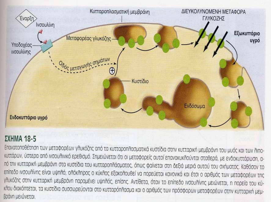 3-κινάση της