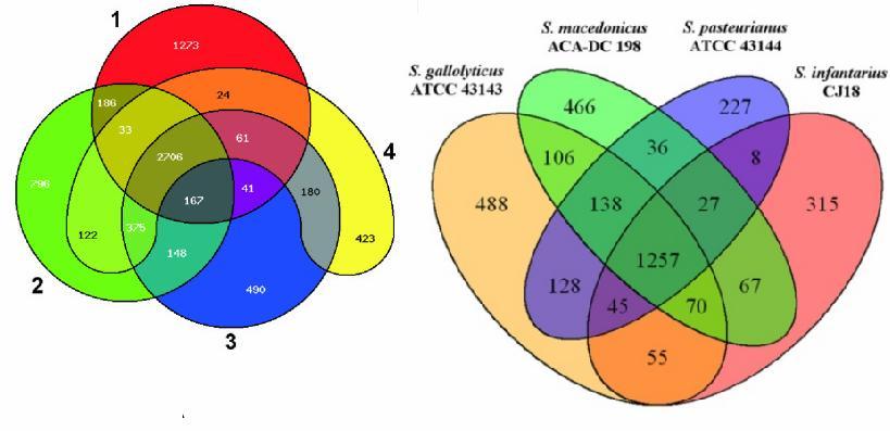 Παραδείγματα διαγραμμάτων Venn.