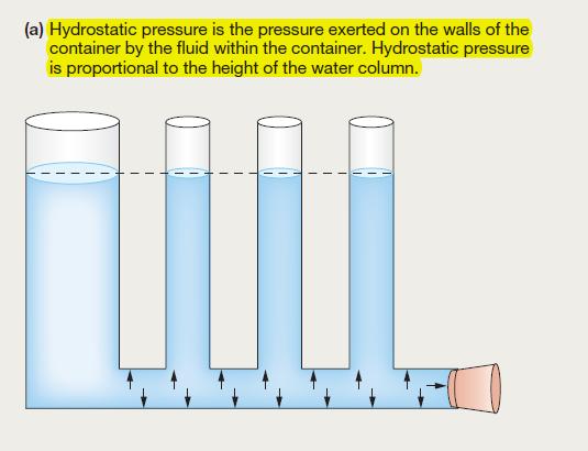 PRESIUNEA Presiunea unui fluid=forta exercitata de catre acesta asupra peretilor vasului 1mmHg= presiunea hidrostatica exercitata de o coloana de