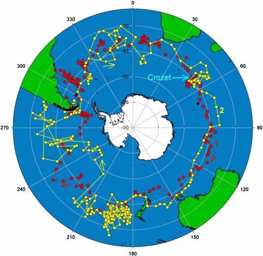περιοχές αναπαραγωγής τους στην Αρκτική μέχρι τις περιοχές διαχείμασης στην Ανταρκτική και επιστρέφουν κάθε χρόνο, καλύπτοντας μέχρι και 40.000 χιλιόμετρα ανά ταξίδι (80.