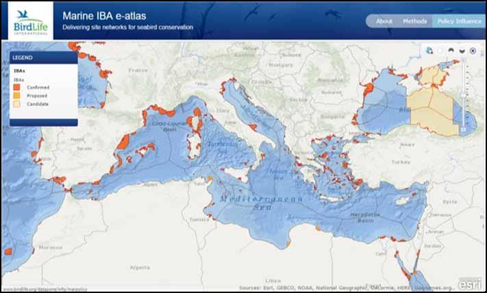 Σημαντικές Περιοχές για τα Πουλιά (IBA) Η BirdLife International (η παγκόσμια ομοσπονδία ορνιθολογικών οργανώσεων) έχει ξεκινήσει ένα πρόγραμμα για τον εντοπισμό των Σημαντικών Περιοχών για τα Πουλιά