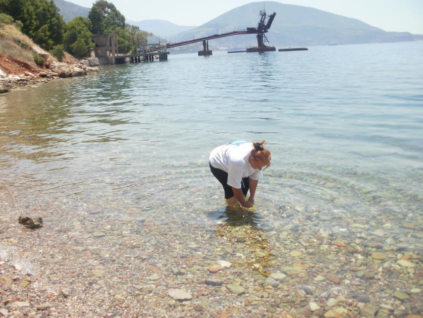 Τα αποτελέσματα της εκτιμήσεως των μικροβιακών πληθυσμών