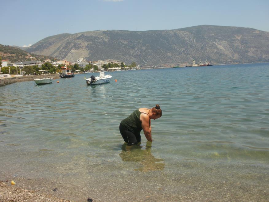 αριθμός βιώσιμων μονάδων, δηλαδή σε Colony Forming Units