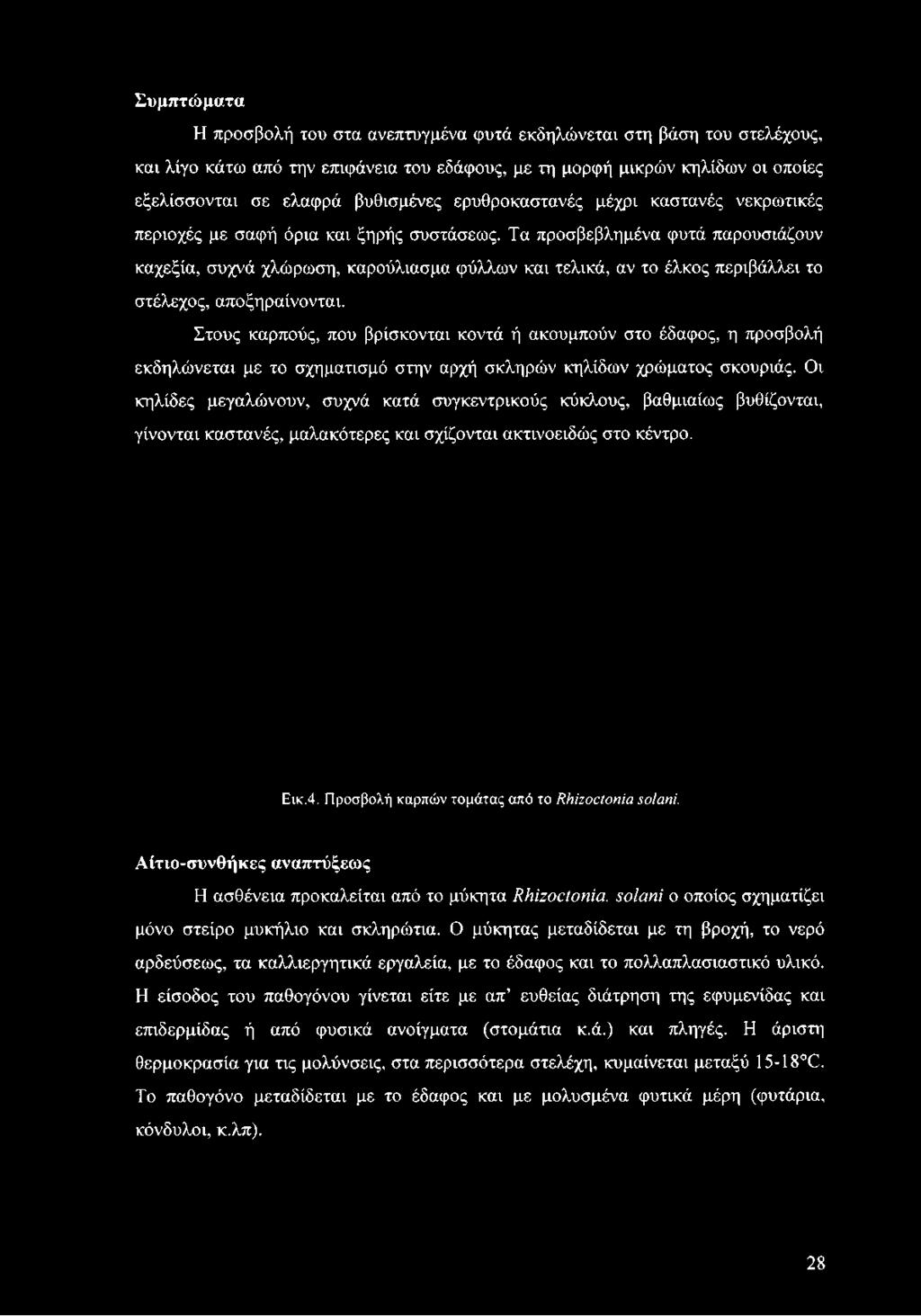 Τα προσβεβλημένα φυτά παρουσιάζουν καχεξία, συχνά χλώρωση, καρούλιασμα φύλλων και τελικά, αν το έλκος περιβάλλει το στέλεχος, αποξηραίνονται.