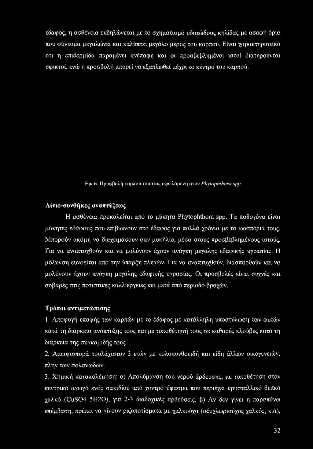 Προσβολή καρπού τομάτας οφειλόμενη στον Phytophthora spp. Αίτιο-συνθήκες αναπτύξεως Η ασθένεια προκαλείται από το μύκητα Phytophthora spp.