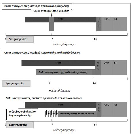 54 ΓΕΣΘΗΜΑΝΗ Δ. ΜΗΝΤΖΙΩΡΗ Εικόνα 3. Πρωτόκολλα υπερδιέγερσης των ωοθηκών με τη χρήση GnRH ανταγωνιστών. Τροποποιημένη από (45).