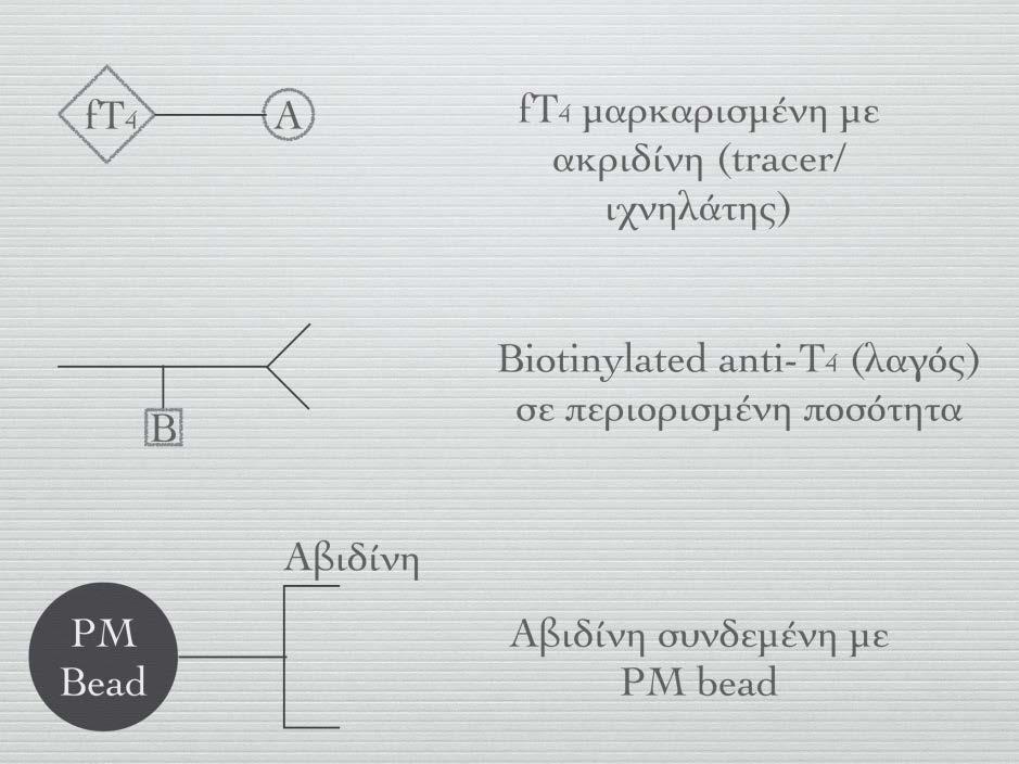 84 ΓΕΣΘΗΜΑΝΗ Δ. ΜΗΝΤΖΙΩΡΗ Εικόνα 11.