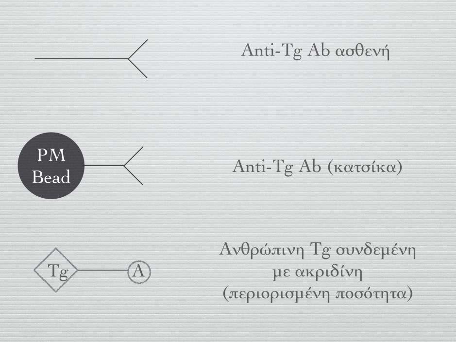 90 ΓΕΣΘΗΜΑΝΗ Δ. ΜΗΝΤΖΙΩΡΗ Εικόνα 15. Ανοσοπροσδιορισμός Anti-Tg. Εικόνα 16.