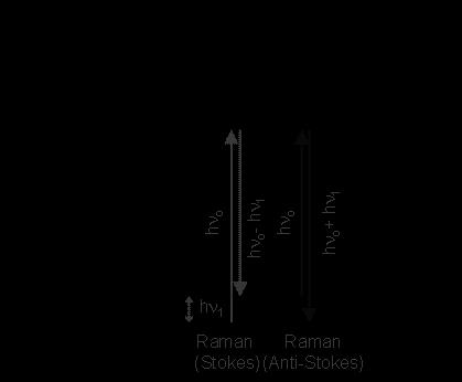 Μηχανισμός σκέδασης Raman και Rayleigh Στη φασματοσκοπία Raman