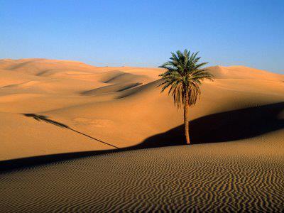 2.3 Η έρημος Σαχάρα Είναι έρημος και βρίσκεται στην Β. Αφρική. Διασχίζει την Αφρική από τον Ατλαντικό Ωκεανό στην Ερυθρά θάλασσα και συνεχίζεται στα ανατολικά με την αραβική έρημο. Εκτείνεται σε 4.