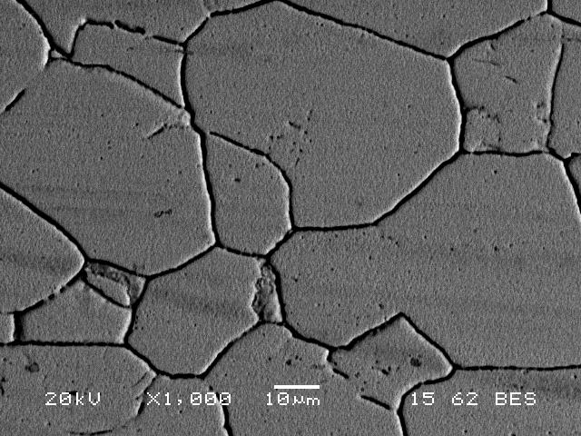 Εικόνα 37 Μικρογραφία οπισθοσκεδαζόμενων ηλεκτρονίων (SEM)