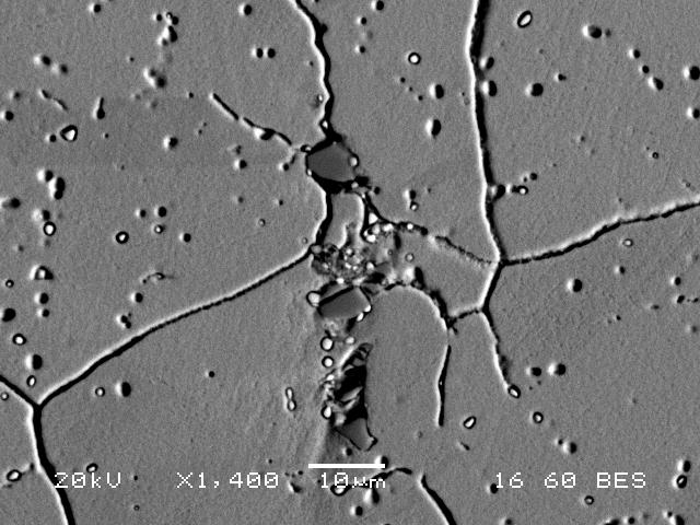 (SEM) ΒΜ-ΗΑΖ του WEBW x250 Εικόνα 39 Μικρογραφία