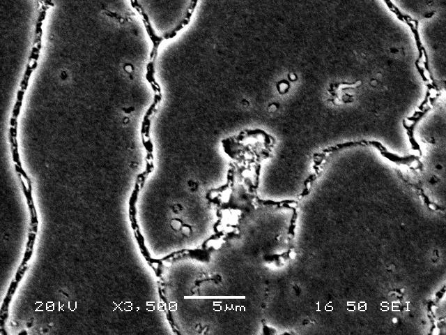 Εικόνα 40 Μικρογραφία δευτερογενών ηλεκτρονίων (SEM) ΗΑΖ του