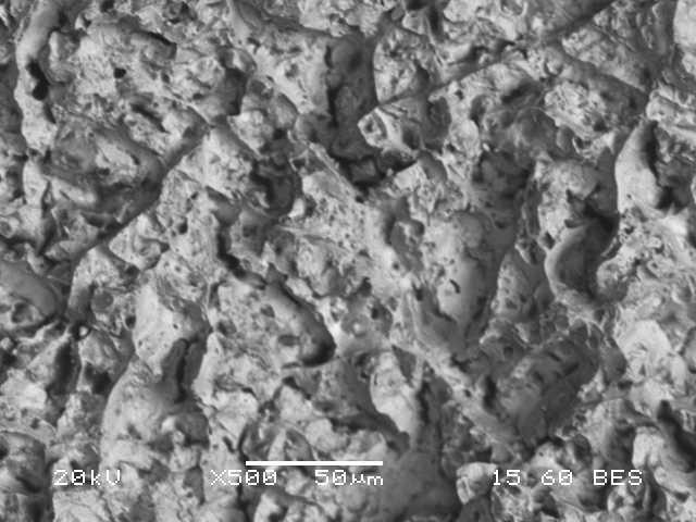 Εικόνα 46 Μικρογραφία οπισθοσκεδαζόμενων ηλεκτρονίων (SEM)