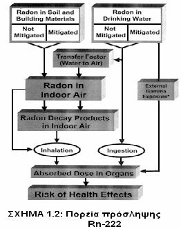 1.3 ΣΗΜΑΣΙΑ ΜΕΤΡΗΣΗΣ ΡΑΔΟΝΙΟΥ Η ραδιενέργεια αποτελεί ένα κομμάτι του περιβάλλοντος στο οποίο ζούμε.