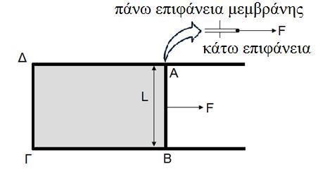 κεκβξάλε» ε ηάζε πνπ έρνπλ ηα πγξά λα ηείλνπλ λα ειαρηζηνπνηήζνπλ ηελ ειεύζεξε επηθάλεηά ηνπο νλνκάδεηαη επηθαλεηαθή ηάζε 3 Δπηθαλεηαθή ηάζε ζπληειεζηήο επηθαλεηαθήο ηάζεο ζε έλα κεηαιιηθό πιαίζην
