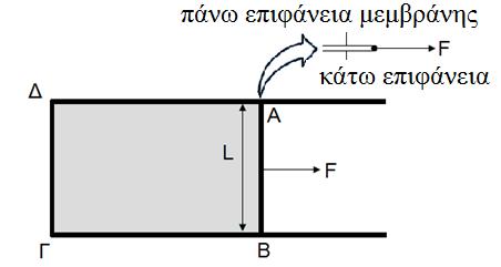 κεκβξάλε» ε ηάζε πνπ έρνπλ ηα πγξά λα ηείλνπλ λα ειαρηζηνπνηήζνπλ ηελ ειεύζεξε επηθάλεηά ηνπο νλνκάδεηαη επηθαλεηαθή ηάζε 3 Δπηθαλεηαθή ηάζε ζπληειεζηήο επηθαλεηαθήο ηάζεο ζε έλα κεηαιιηθό πιαίζην